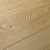 Кварцевый ламинат Damy Floor Family LVT Дуб Латте